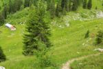 2014-07-05_Laengental-N-Hochweg (900). JPG